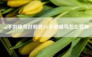 cf手游蜂鸟好邪恶,CF手游蜂鸟怎么获得
