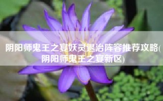 阴阳师鬼王之宴妖灵退治阵容推荐攻略(阴阳师鬼王之宴新区)