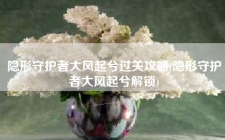 隐形守护者大风起兮过关攻略(隐形守护者大风起兮解锁)