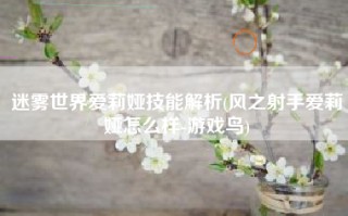 迷雾世界爱莉娅技能解析(风之射手爱莉娅怎么样-游戏鸟)