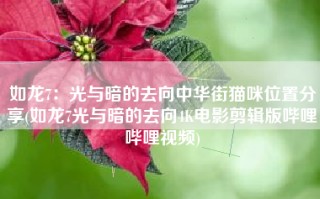 如龙7：光与暗的去向中华街猫咪位置分享(如龙7光与暗的去向4K电影剪辑版哔哩哔哩视频)