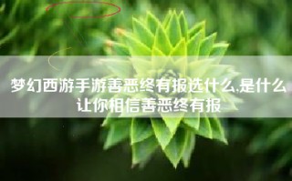梦幻西游手游善恶终有报选什么,是什么让你相信善恶终有报