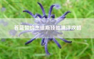 苍蓝誓约杰维斯技能测评攻略