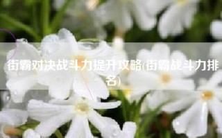 街霸对决战斗力提升攻略(街霸战斗力排名)