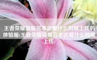 王者荣耀新版宫本武藏什么时候上线的体验服(王者荣耀新版宫本武藏什么时候上线)