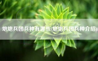 炮炮兵团兵种有哪些(炮炮兵团兵种介绍)