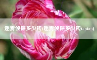 迷雾侦探多少钱(迷雾侦探多少钱taptap)
