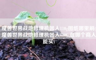 魔兽世界战地修理机器人110g图纸哪里刷(魔兽世界战地修理机器人110G.在哪个商人能买)