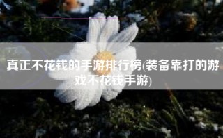 真正不花钱的手游排行榜(装备靠打的游戏不花钱手游)