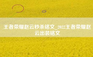 王者荣耀赵云秒杀铭文_2022王者荣耀赵云出装铭文