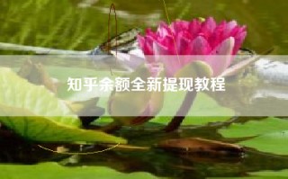 知乎余额全新提现教程