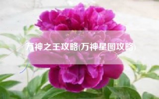 万神之王攻略(万神星图攻略)