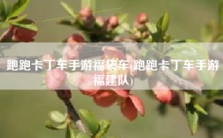 跑跑卡丁车手游福袋车(跑跑卡丁车手游福建队)