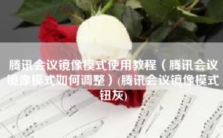 腾讯会议镜像模式使用教程（腾讯会议镜像模式如何调整）(腾讯会议镜像模式钮灰)