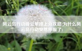 风云岛行动腾云单排上分攻略(为什么风云岛行动突然停服了)