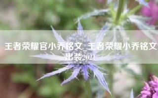 王者荣耀官小乔铭文_王者荣耀小乔铭文出装2021