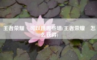 王者荣耀暃可以跳哪些墙(王者荣耀暃怎么获得)