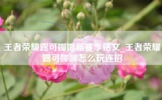 王者荣耀露可娜娜新赛季铭文_王者荣耀露可娜娜怎么玩连招