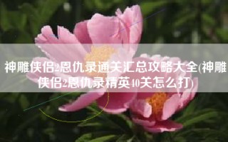 神雕侠侣2恩仇录通关汇总攻略大全(神雕侠侣2恩仇录精英40关怎么打)