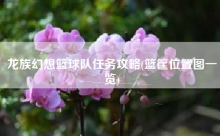 龙族幻想篮球队任务攻略(篮筐位置图一览)