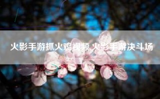 火影手游抓火鸡视频,火影手游决斗场