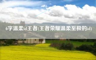 6字温柔id王者(王者荣耀温柔至极的id)
