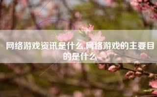 网络游戏资讯是什么,网络游戏的主要目的是什么