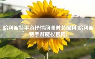 哈利波特手游抒情韵调时装爆料(哈利波特手游魔杖官网)