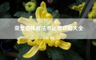 荣誉指挥官法术运营攻略大全