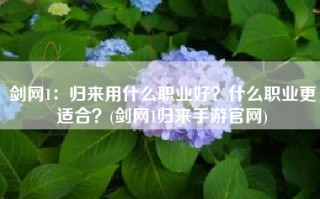 剑网1：归来用什么职业好？什么职业更适合？(剑网1归来手游官网)