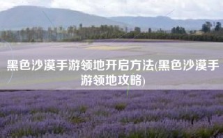 黑色沙漠手游领地开启方法(黑色沙漠手游领地攻略)