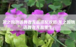 龙之国物语舞者龙晶搭配攻略(龙之国物语舞者龙晶重生)