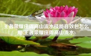 王者荣耀庄周高山流水技能音效包怎么用(王者荣耀庄周高山流水)