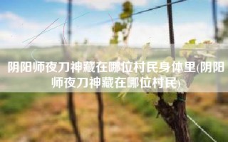 阴阳师夜刀神藏在哪位村民身体里(阴阳师夜刀神藏在哪位村民)