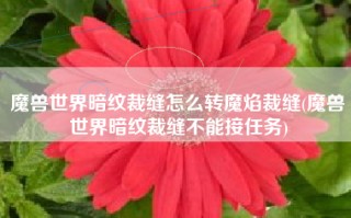 魔兽世界暗纹裁缝怎么转魔焰裁缝(魔兽世界暗纹裁缝不能接任务)