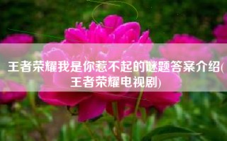 王者荣耀我是你惹不起的谜题答案介绍(王者荣耀电视剧)