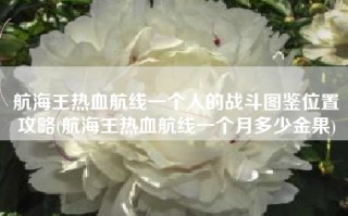 航海王热血航线一个人的战斗图鉴位置攻略(航海王热血航线一个月多少金果)