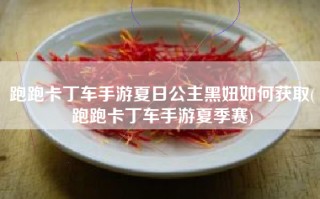 跑跑卡丁车手游夏日公主黑妞如何获取(跑跑卡丁车手游夏季赛)