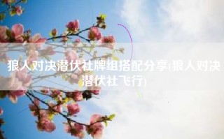 狼人对决潜伏社牌组搭配分享(狼人对决潜伏社飞行)