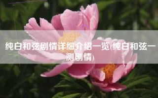 纯白和弦剧情详细介绍一览(纯白和弦一测剧情)