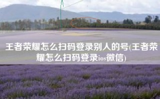 王者荣耀怎么扫码登录别人的号(王者荣耀怎么扫码登录ios微信)