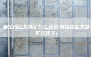 泰拉瑞亚龙蒿矿怎么获得(泰拉瑞亚龙蒿矿啥样子)