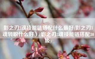 影之刃3魂技能链搭配什么最好(影之刃3魂转职什么好）(影之刃3魂技能链搭配30级)