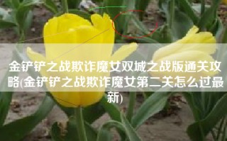金铲铲之战欺诈魔女双城之战版通关攻略(金铲铲之战欺诈魔女第二关怎么过最新)