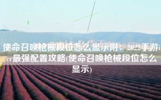 使命召唤枪械段位怎么显示附：2022手游icr最强配置攻略(使命召唤枪械段位怎么显示)