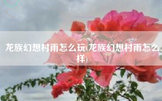 龙族幻想村雨怎么玩(龙族幻想村雨怎么样)