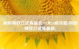 阴阳师妖行试炼最后一天24级攻略(阴阳师妖行试炼最新)