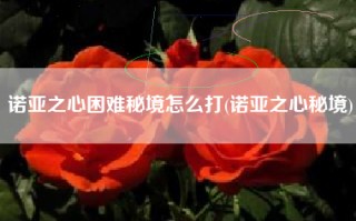 诺亚之心困难秘境怎么打(诺亚之心秘境)