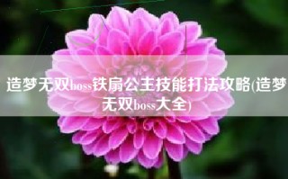 造梦无双boss铁扇公主技能打法攻略(造梦无双boss大全)