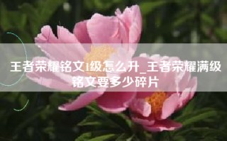 王者荣耀铭文1级怎么升_王者荣耀满级铭文要多少碎片